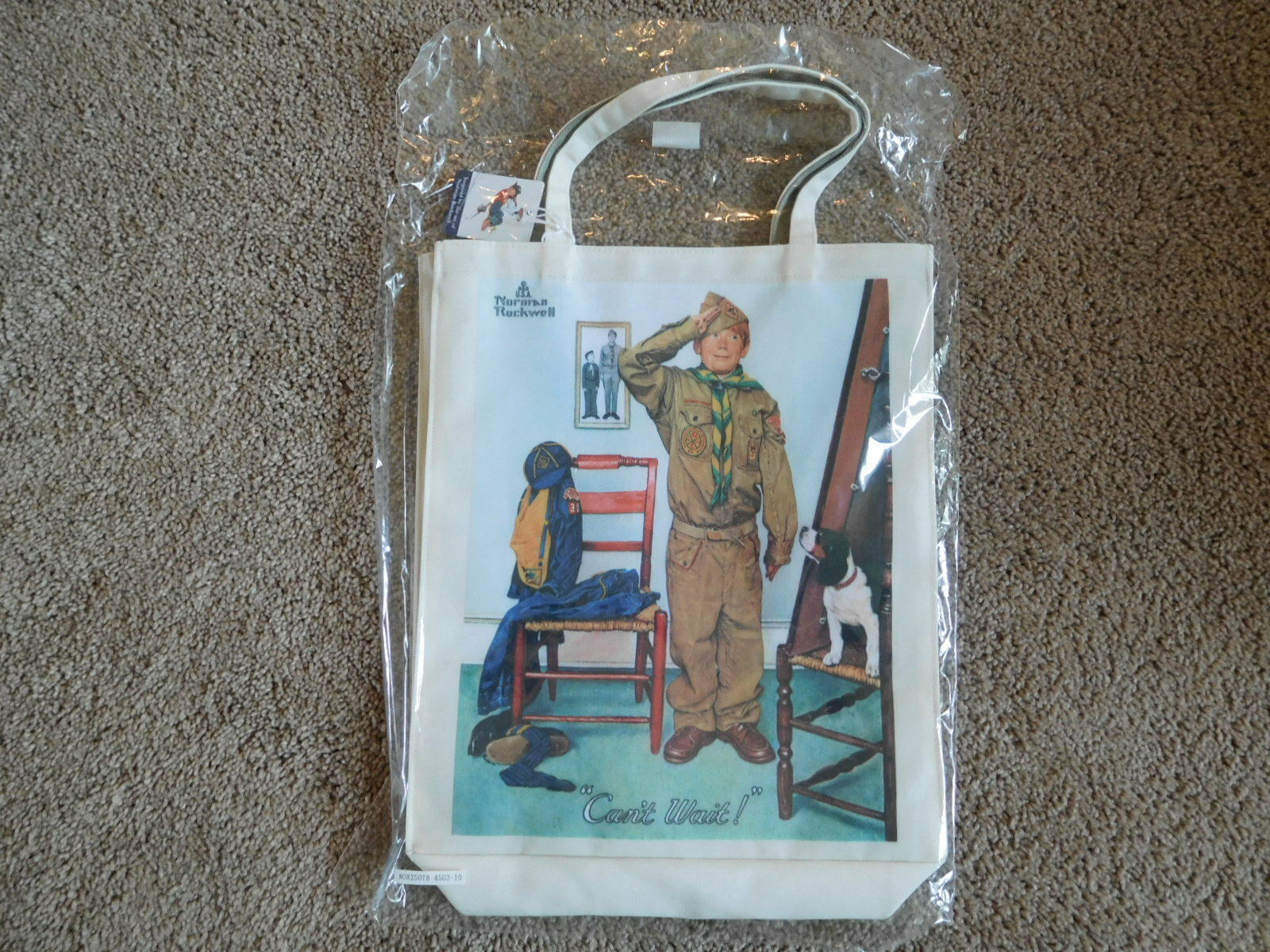SCOUT BSA NORMAN ROCKWELL CANVAS TOTE BAG “CAN’T WAIT” PRINT CUB RARE PAINTING !