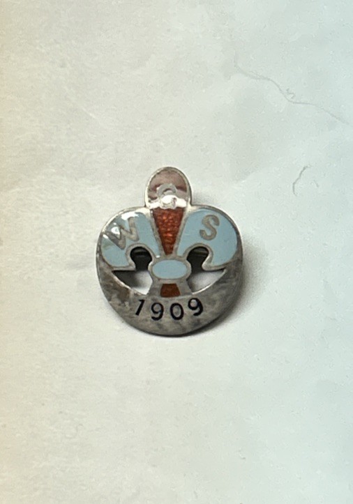 Sterling Silver Boy Scouts Of America Enamel Fleur De Lis Bastion Brothers Pin
