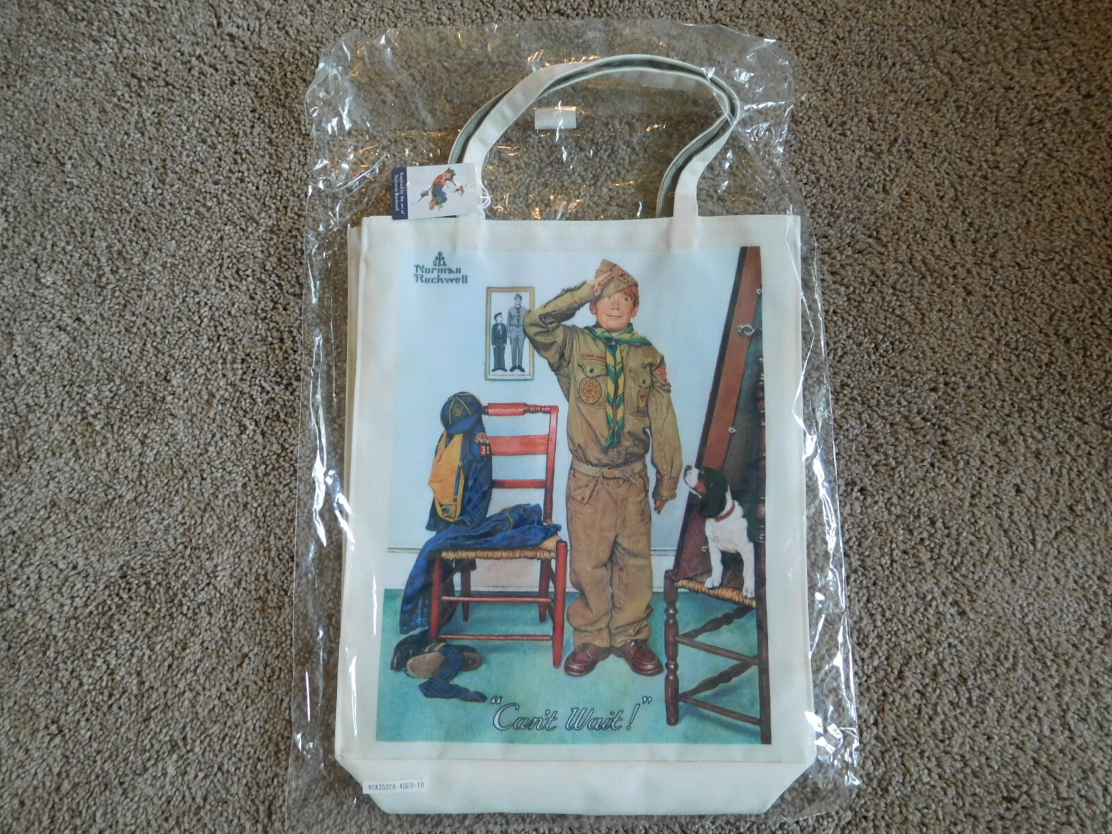 SCOUT BSA NORMAN ROCKWELL CANVAS TOTE BAG “CAN’T WAIT” PRINT CUB RARE PAINTING !