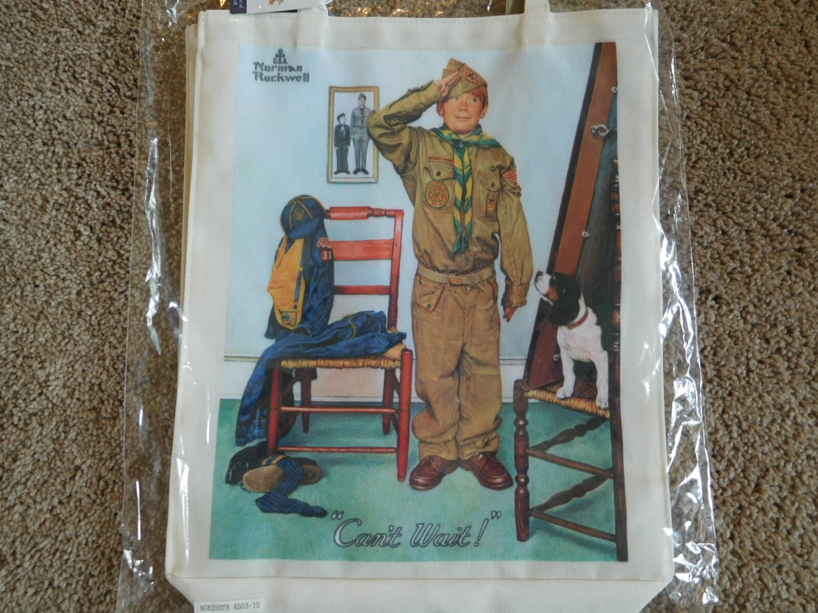 SCOUT BSA NORMAN ROCKWELL CANVAS TOTE BAG “CAN’T WAIT” PRINT CUB RARE PAINTING !